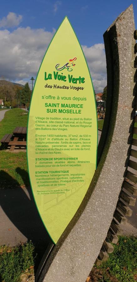 Au Bonheur Fait Maison Bed & Breakfast Saint Maurice sur Moselle Bagian luar foto