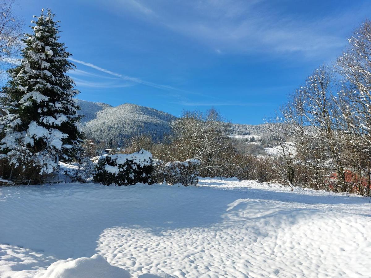Au Bonheur Fait Maison Bed & Breakfast Saint Maurice sur Moselle Bagian luar foto